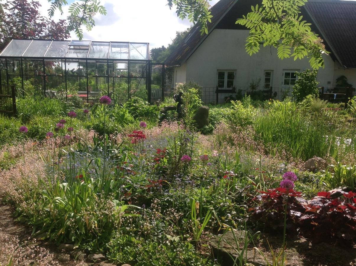 Bed&Breakfast - Stakdelen 47 Allerup Exterior foto