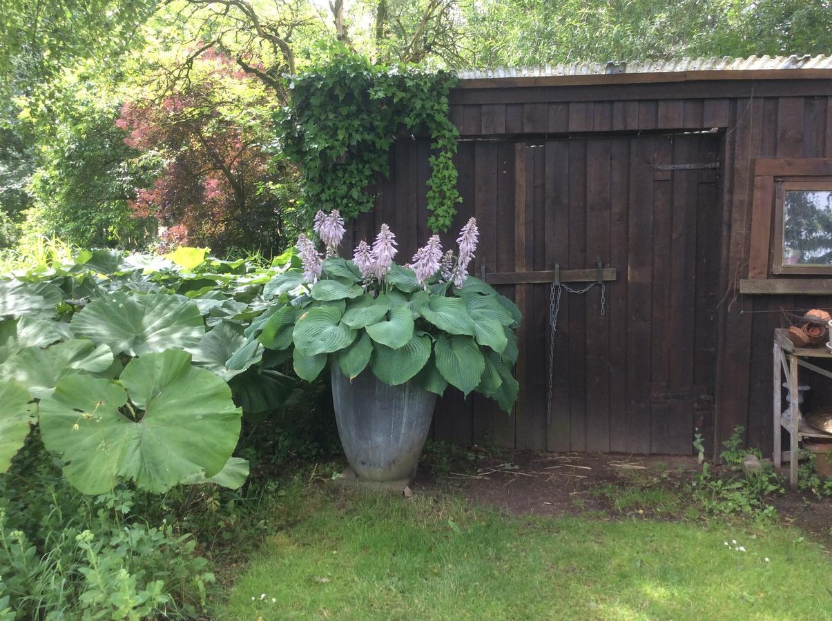 Bed&Breakfast - Stakdelen 47 Allerup Exterior foto